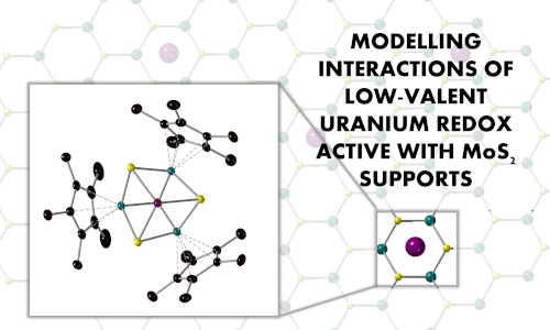 Molybdenum Sulphide Clusters as Redox Active Supports for Low-Valent Uranium