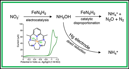 Electrocatalytic multielectron nitrite reduction in water by an iron complex