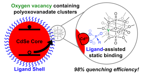 Efficient hold transfer from CdSe quantum dots enabled by oxygen-deficient polyoxovanadate-alkoxide clusters