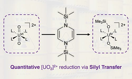 Quantitative U=O bond activation via silyl radical transfer