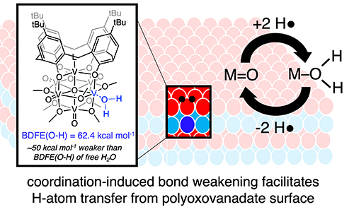 Coordination-induced bond weakening of water at the surface of an oxygen-deficient polyoxovanadate