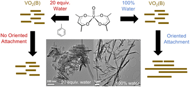 Influence of water concentration on the solvothermal synthesis of VO<sub>2</sub>(B) nanocrystals